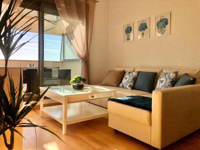 Gatu Premium Atico Parra, Parking, Piscina Comun, Terraza, Wifi , " Preferente Mayores De 25 Anos Y Familias " El Puerto de Santa María Exteriör bild